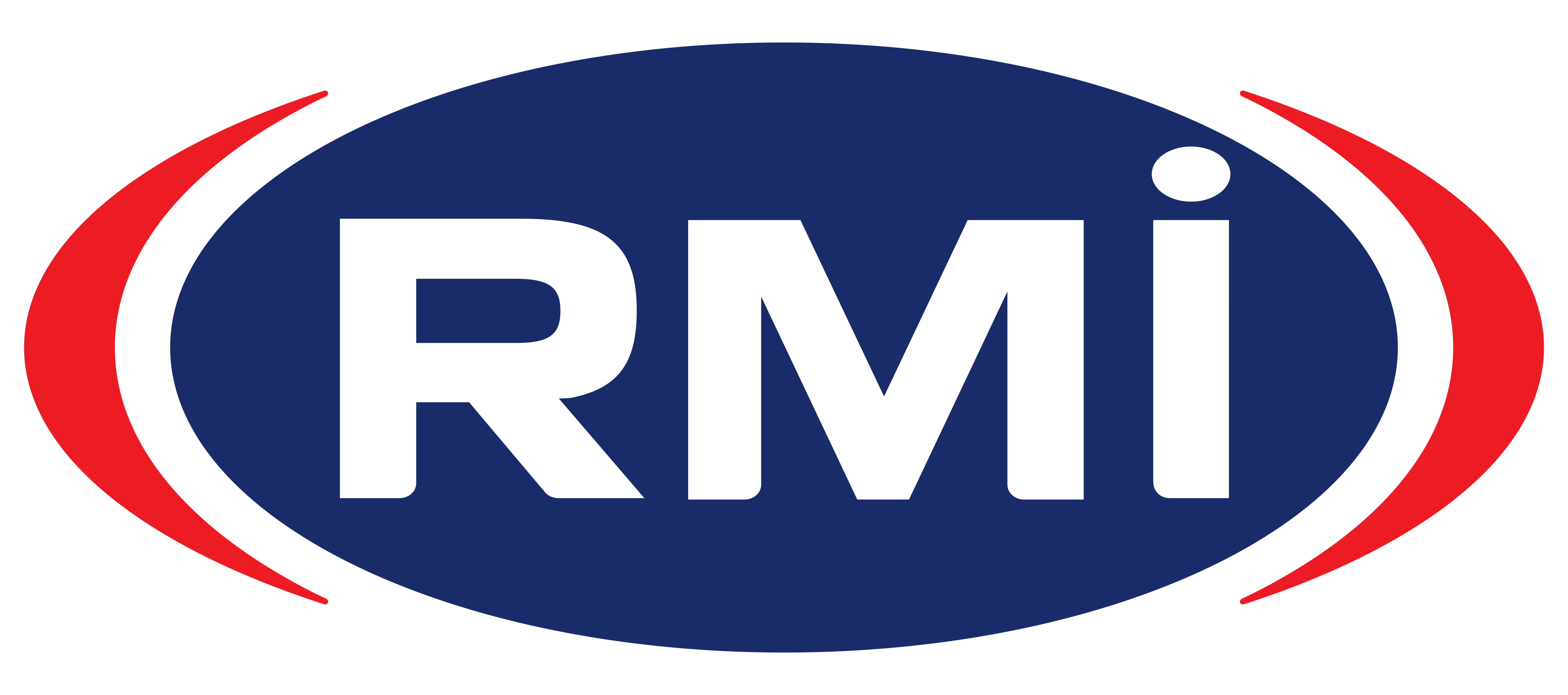 RMI logo